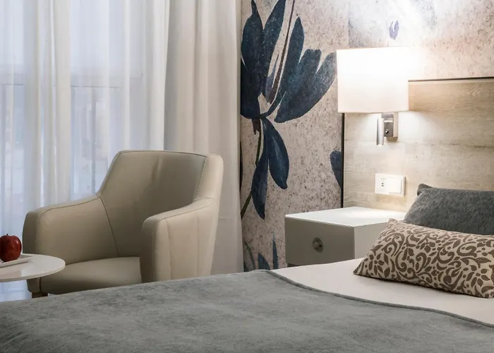 ساليس مالاغا سنترو فندق مالقة