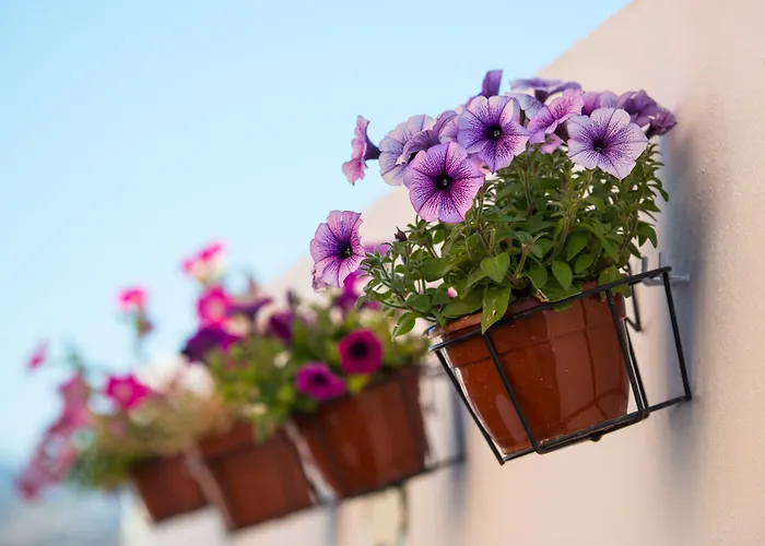 فندق ساليس مالاغا سنترو