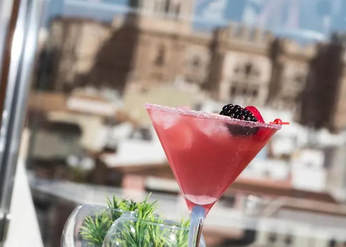 ساليس مالاغا سنترو فندق 4*