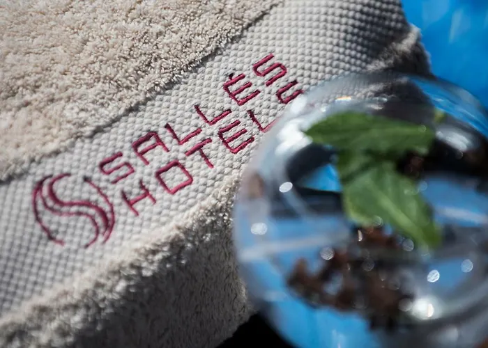 فندق ساليس مالاغا سنترو